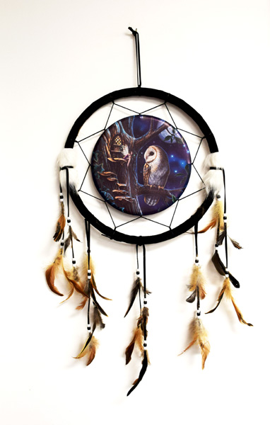 Magic Owl Dreamcatcher